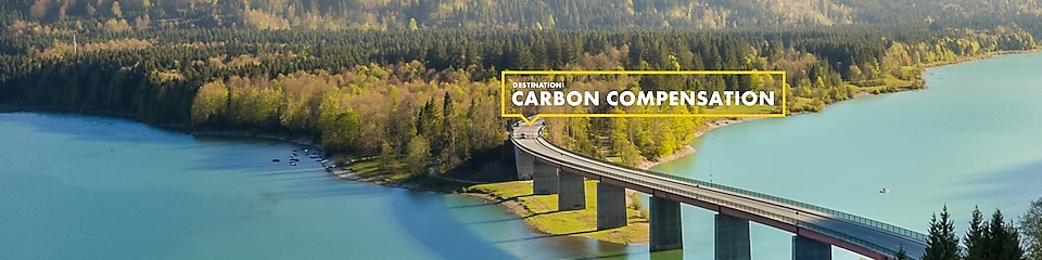 Carbon Compensation