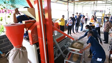Lower rice production costs have led to higher earnings for farmers.