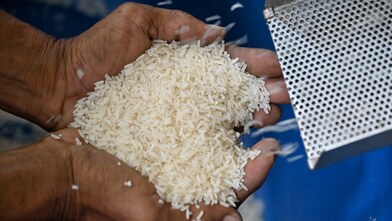 Increasing the capacity to produce and distribute rice varieties from community rice mills.