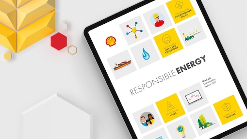 Online Shell Sustainability Report 
