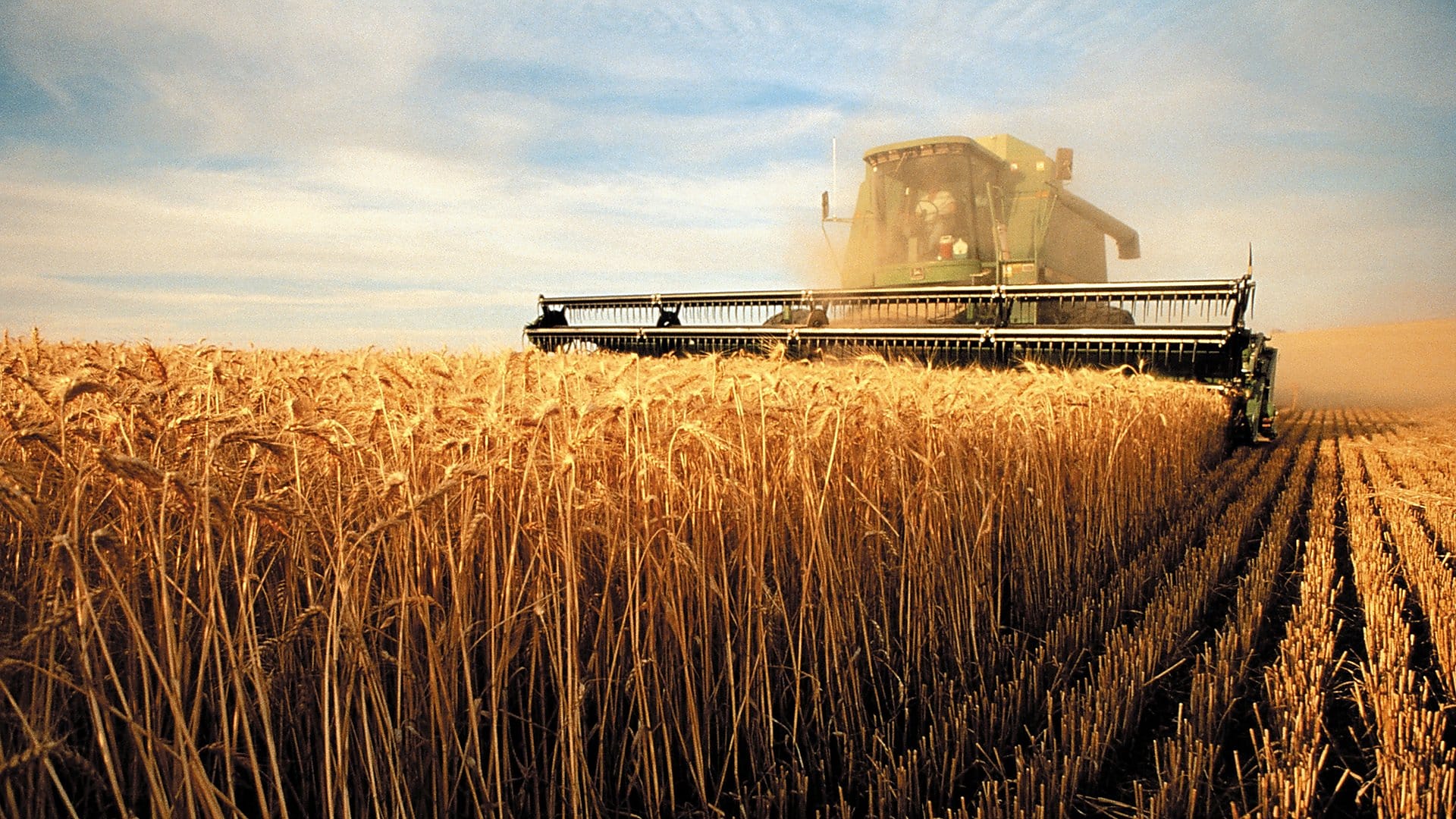 Сельскохозяйственное производство преобладает в. Уборка пшеницы комбайном Кубань. Сельское хозяйство. Агропромышленный комплекс. Промышленность и сельское хозяйство.