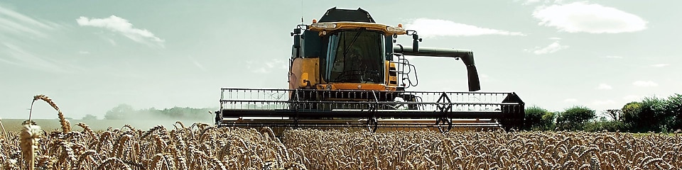 Yellow combine harvester in a wheat field