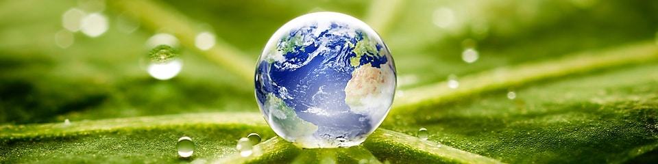 World in a drop of water on a leaf