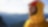 Shell Graduate Programme interactive guide