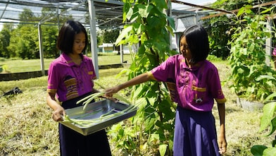 เพิ่มความมั่นคงทางการเกษตร ด้วยระบบการจัดการน้ำอย่างยั่งยืน