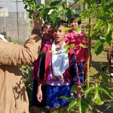 นักเรียนผู้เข้าร่วมโครงการ “เชลล์เติมสุข” ฝึกทักษะการเกษตรสมัยใหม่ที่โรงเรียน