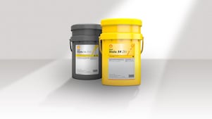 เชลล์ ไดเอล่า ชนิดต่างๆ