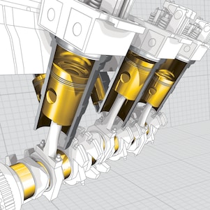 เชลล์ ไมเซลล่า ชนิดต่างๆ