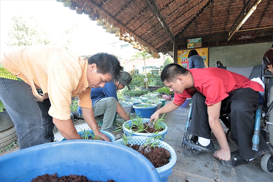 นักเรียนของโรงเรียนศรีวังวาลย์เชียงใหม่เก็บผลิตผลทางการเกษตรที่แปลงผักของโรงเรียน เพื่อนำไปจำหน่ายต่อไป